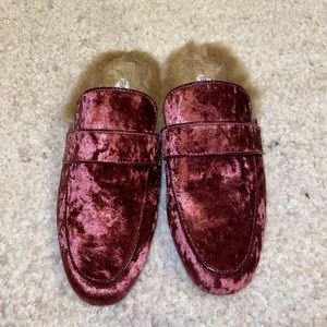 Velvet fuzzy mule Steve Madden